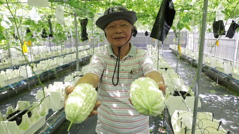 Ahli perniagaan Taiwan di Malaysia membina asas sayur-sayuran dan buah-buahan, halaman baharu untuk pertukaran pertanian Taiwan-Malaysia